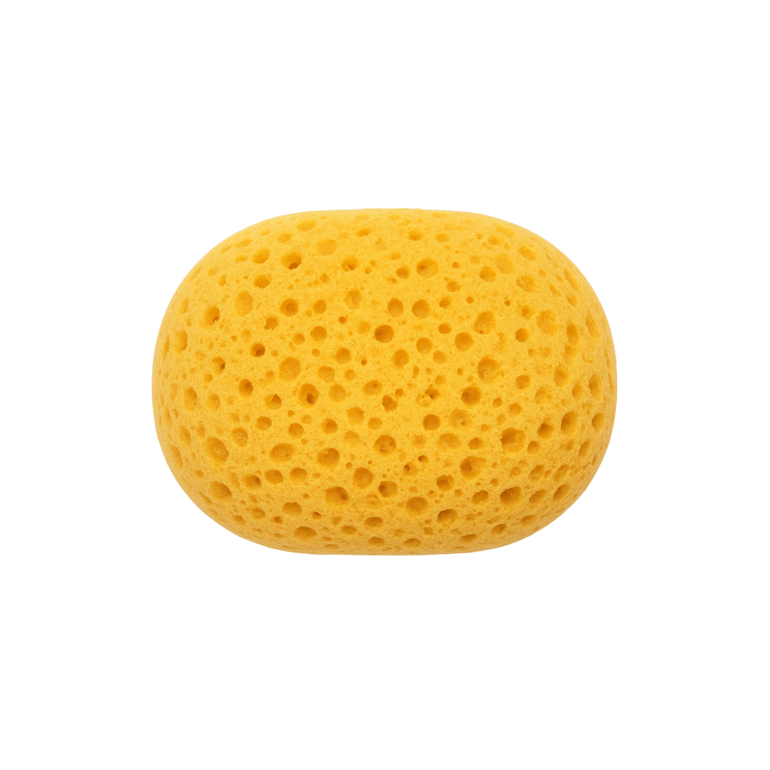 Body Sponge.