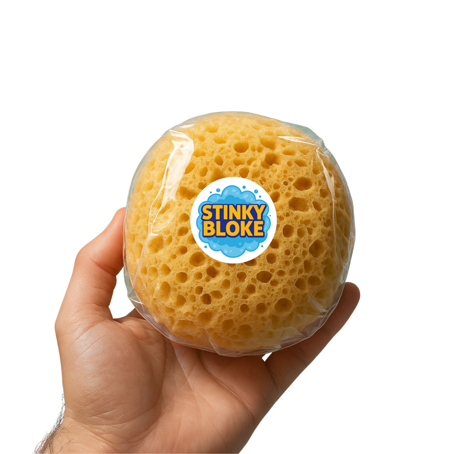 Body Sponge.